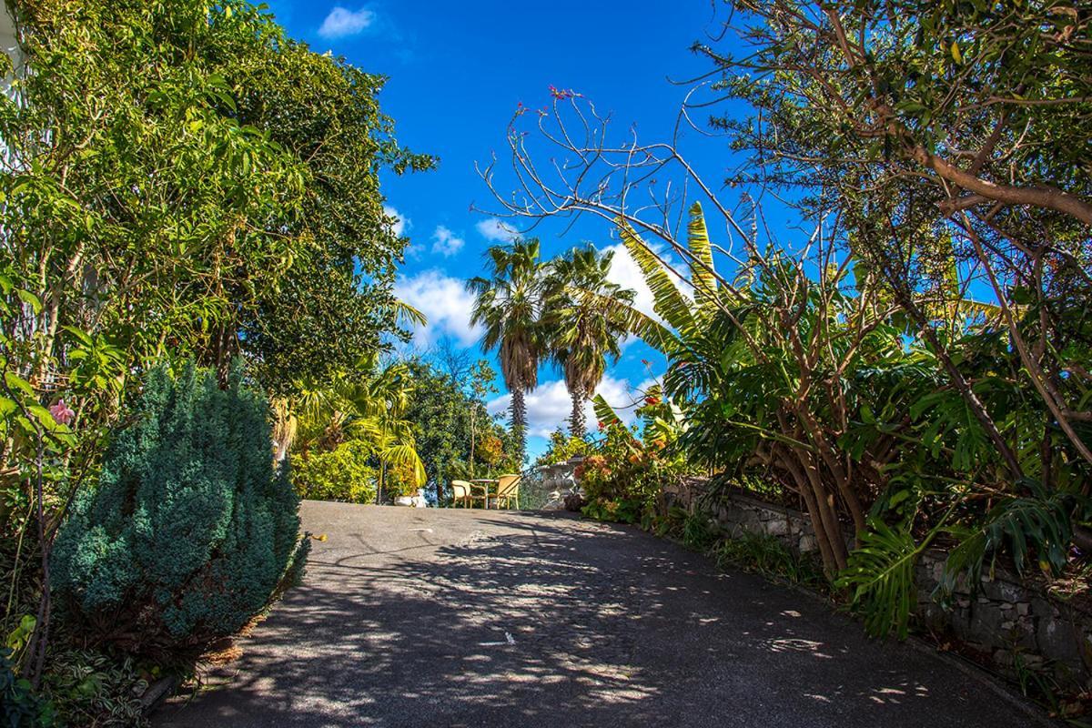 Vila Afonso Estreito de Camara de Lobos ภายนอก รูปภาพ